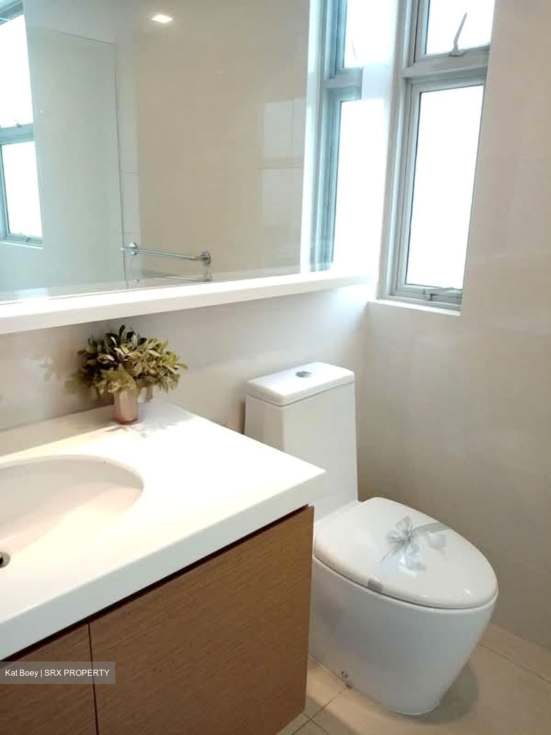 Nassim Regency (D10), Condominium #575127221